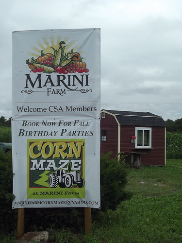 Marini Farm in Ipswich, Mass.