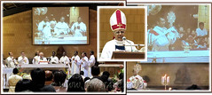 St Anne's Feast Day Mass at Church of St Anne, Bukit Mertajam. Bishop Antony Selvanayagam was the main celebrant