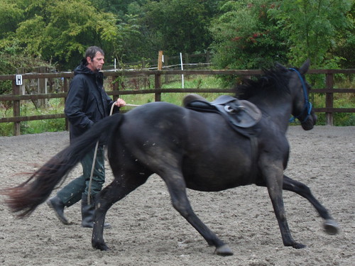 Lottie cantering