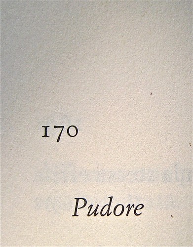Breviario proustiano, a cura di Patrizia Valduga; Einaudi 2011. Progetto grafico: Bianco. p. 170 (part.), 1