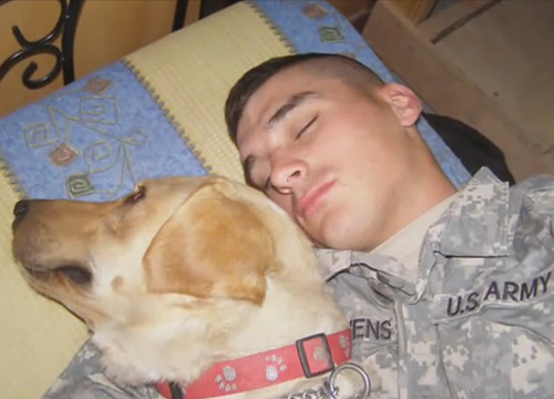 A soldier and his dog