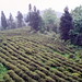 img004