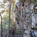 Sugar Hollow Rock Face • <a style="font-size:0.8em;" href="http://www.flickr.com/photos/26088968@N02/6297185274/" target="_blank">View on Flickr</a>