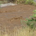 flash flood 3 • <a style="font-size:0.8em;" href="http://www.flickr.com/photos/68573239@N08/6278062352/" target="_blank">View on Flickr</a>