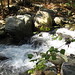 Sugar Hollow Low Falls • <a style="font-size:0.8em;" href="http://www.flickr.com/photos/26088968@N02/6297192648/" target="_blank">View on Flickr</a>