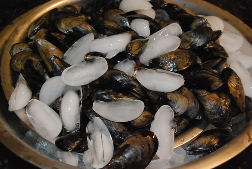 Mussels Ice Bath