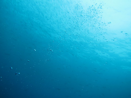 大島の海は青い