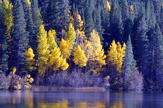 2011-10-15 10-23 Sierra Nevada 483 June Lake