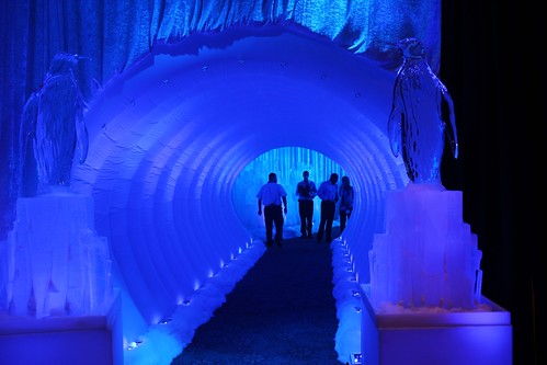 Icy tunnel