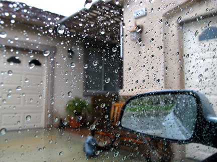 March 25 It's a rainy, dreary day today in So. Calif.