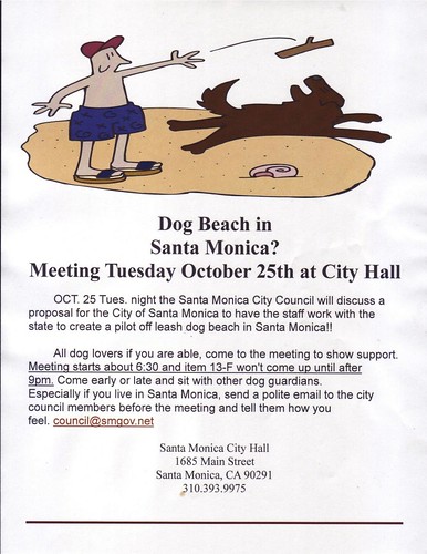 Dog Beach Meeting 10:25:11
