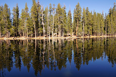 2011-10-15 10-23 Sierra Nevada 313 Yosemite National Park, Lukens Lake Trail