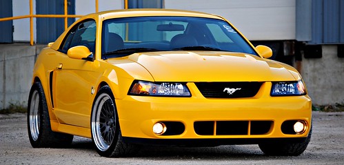 Mustang Cobra Terminator Yellow