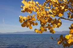 2011-10-15 10-23 Sierra Nevada 581 South Lake Tahoe