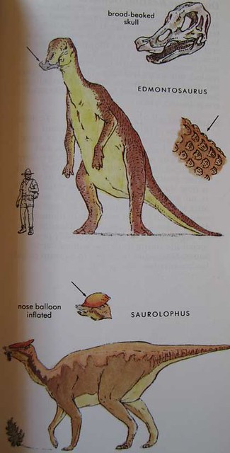 Peterson First Guides: Dinosaurs p. 75