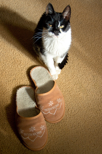 Slippers