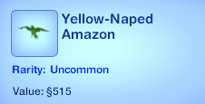 Yellow-Naped Amazon