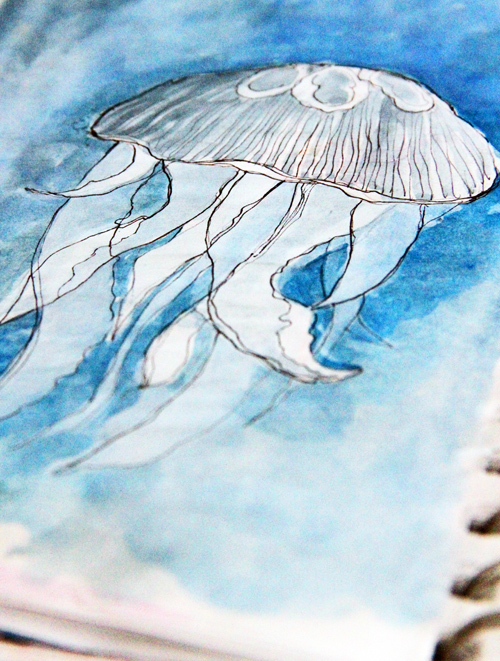 alisaburke: a peek inside my sketchbook- exploring jellyfish