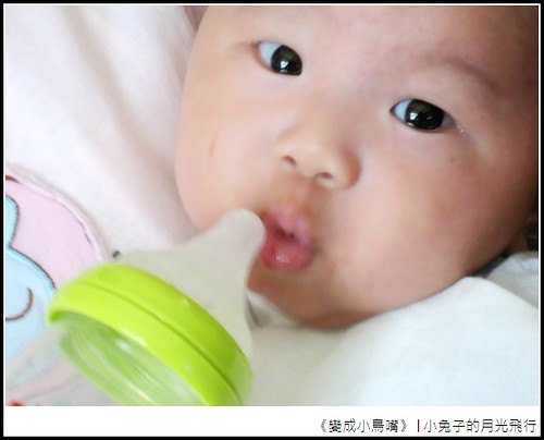 小鳥嘴