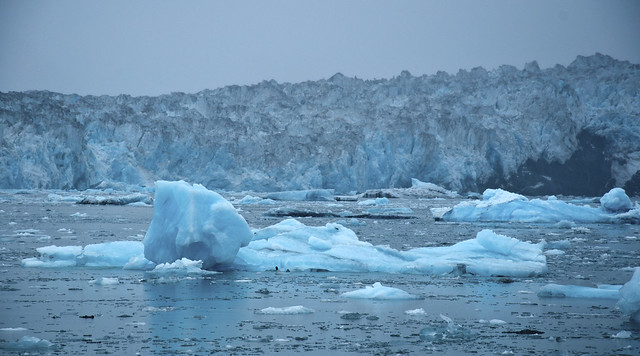 Source of Icebergs