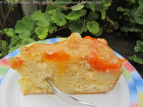 Apricot butter cake (3)