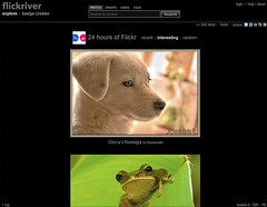 Flickriver Group View (Screenshot)
