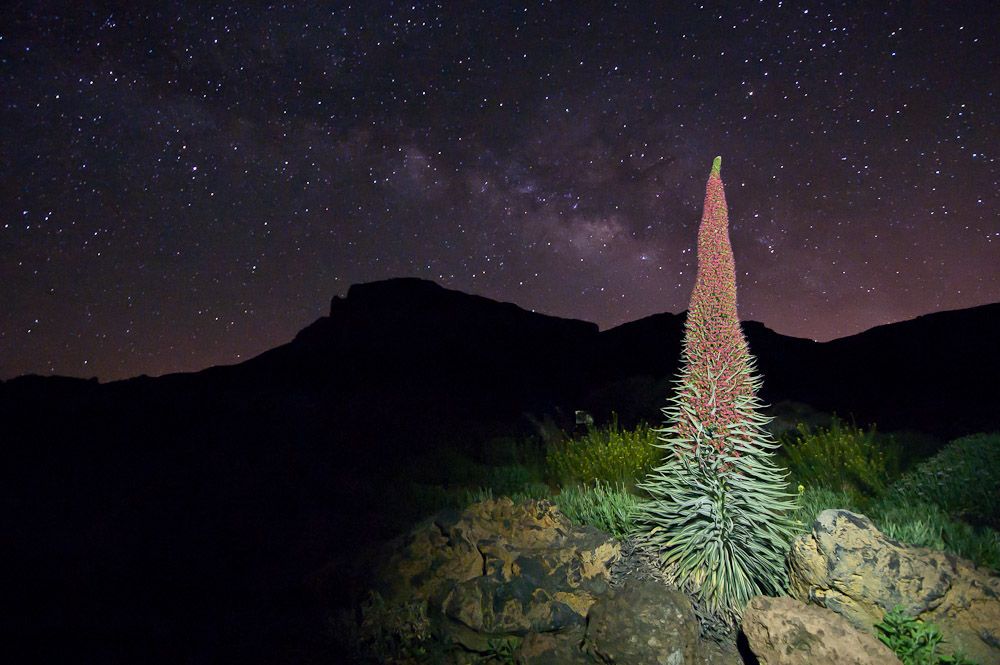 Fotografía Nocturna de la vía láctea en las cañadas del Teide