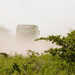2011_07_16 Silk_Way 0265