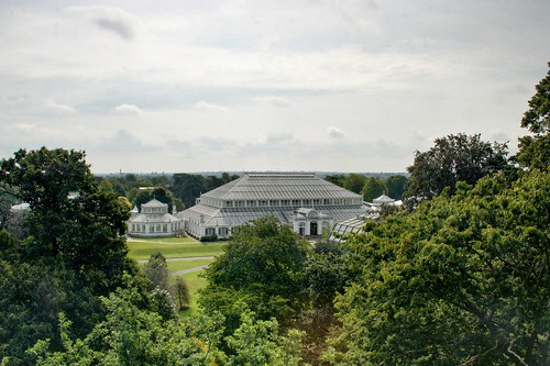 Looking down on the Temperate House
