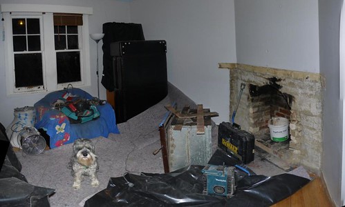 Destruction in the Living Room