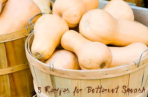 5 Recipes for Butternut Squash