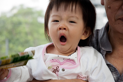 Yawning! 打哈欠！