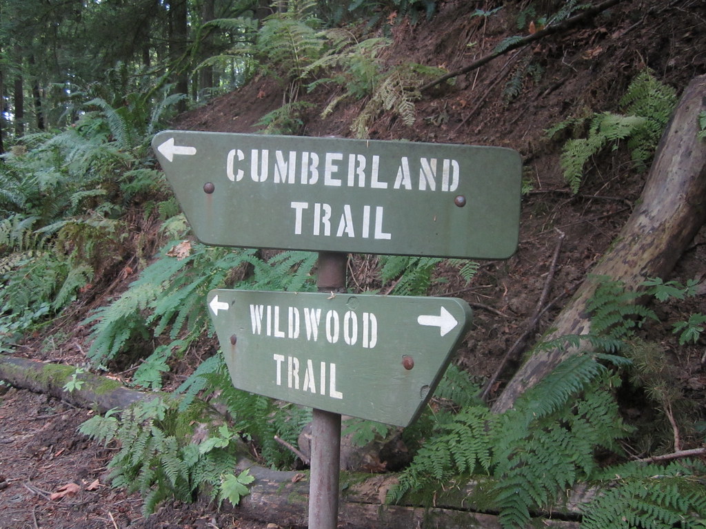 Nature Walk Portland, Wildwood Trail to by danxoneil, on Flickr