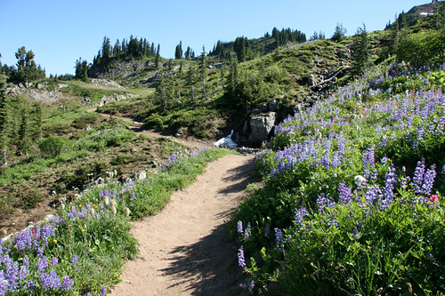 Naches Loop  Trail