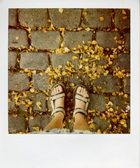 Summer shoes and autumn leaves