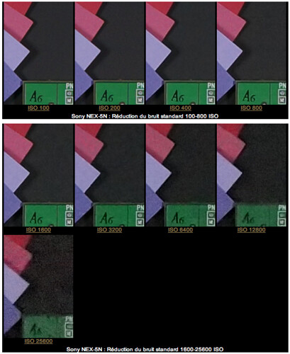 Sony NEX-5N full-resolution JPG and RAW sample photos