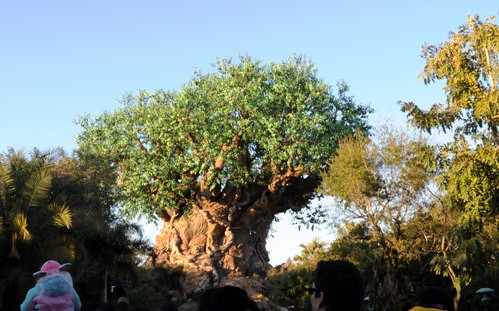 Walt Disney World - A árvore da Vida
