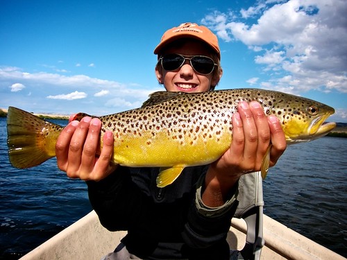Fall Brown Trout 2