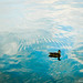 Float in the Sky • <a style="font-size:0.8em;" href="http://www.flickr.com/photos/15025321@N03/6152077174/" target="_blank">View on Flickr</a>