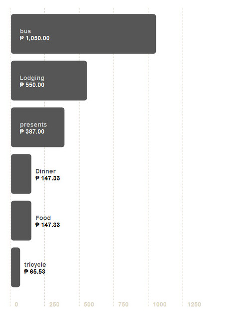 Tuguegarao Travel Expense Chart