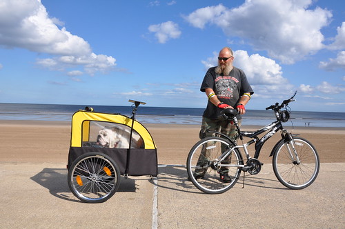#3 Dog Mobility in Mablethorpe