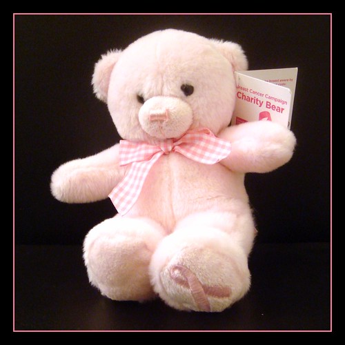 "Charity Bear is happy to share a BCA hug and smile."