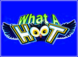 Online What A Hoot Slots Review