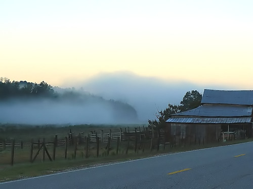 fog & cold