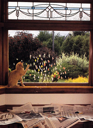 Ginger's 'Stripped Bare Birds', 1992.