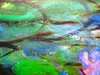 Mario Lavagetto, Quel Marcel!; Einaudi 2011. [resp. grafica non indicate], alla cop.: Claude Monet, Ninfee, 1916-19/Musée Marmottan Monet/Foto Lessing-Contrasto. Copertina (part.), 10
