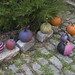 various pumpkins