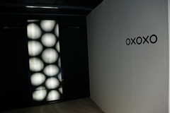 White Dots Room
