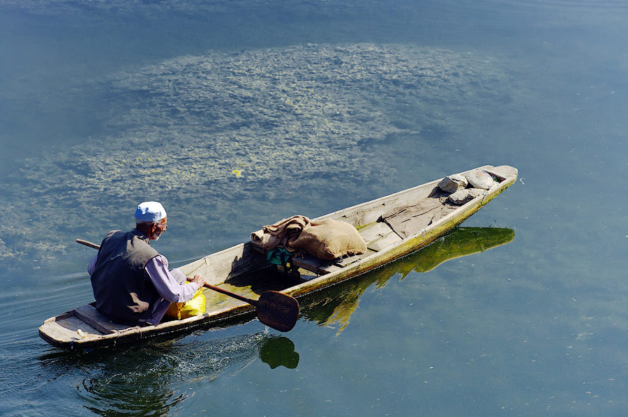Озеро Дал, Шринагар