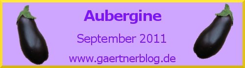 Garten-Koch-Event September 2011: Aubergine [30.09.2011]